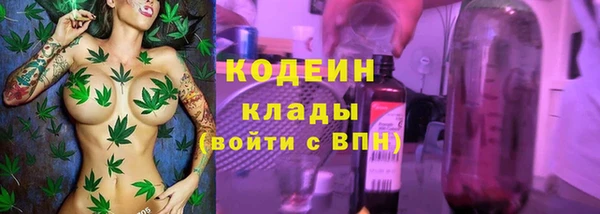 шишки Арсеньев