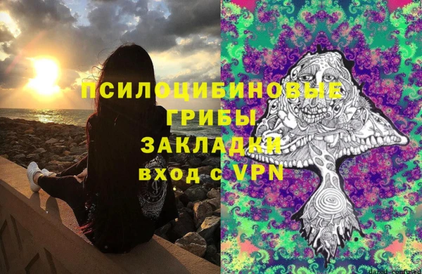 шишки Арсеньев