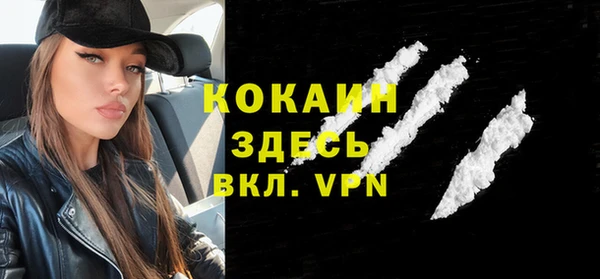 шишки Арсеньев