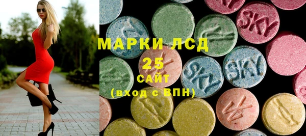 шишки Арсеньев