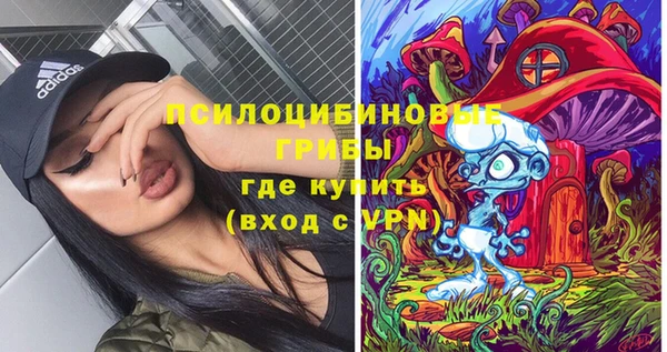 MDMA Premium VHQ Аркадак