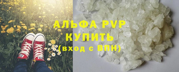 шишки Арсеньев