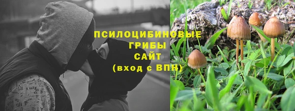 шишки Арсеньев